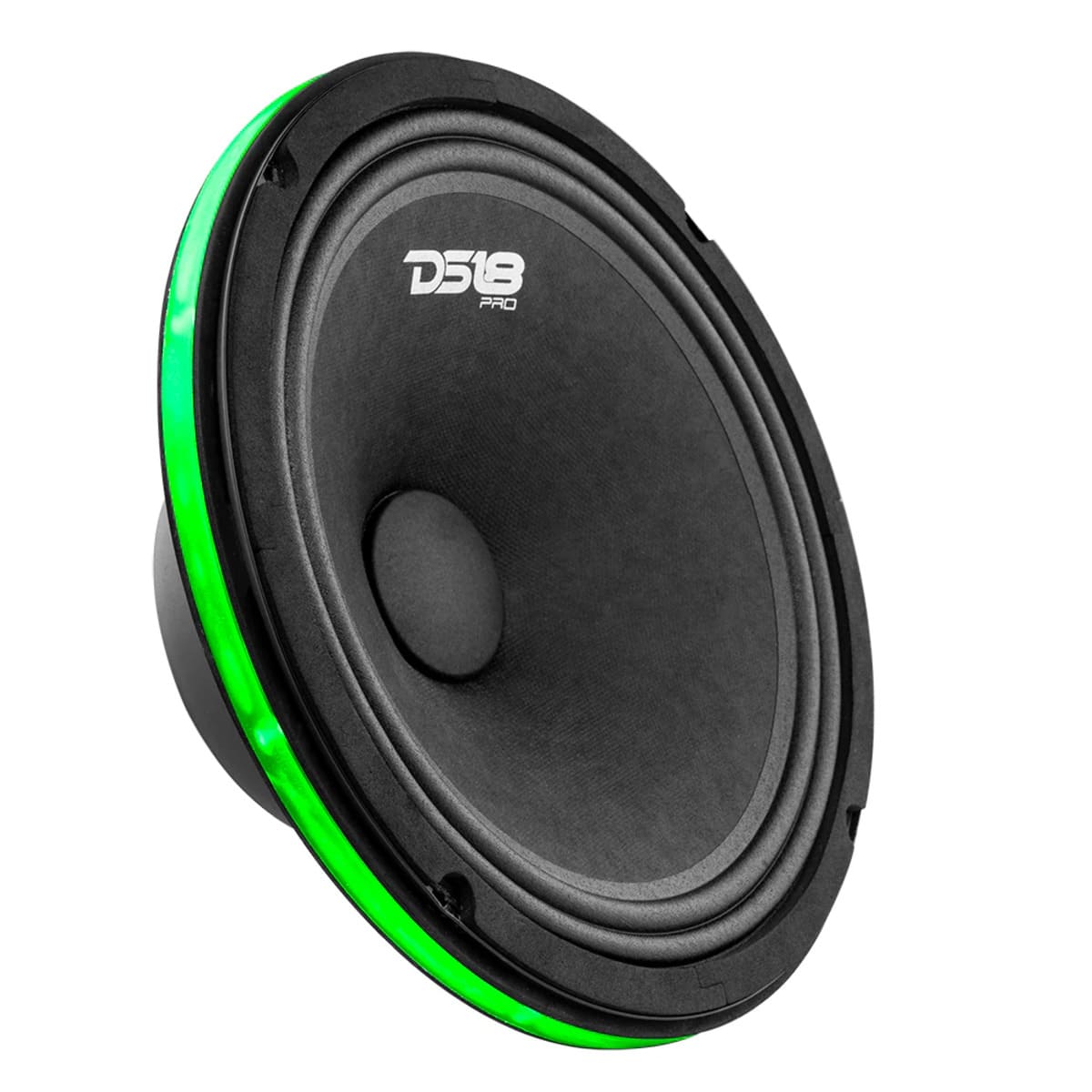 DS18 10" Speaker & Subwoofers RGB LED Ring