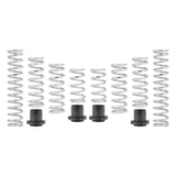 Eibach '25-'26 Polaris RZR Pro 4 XP Pro-UTV Stage 2 Spring Kit