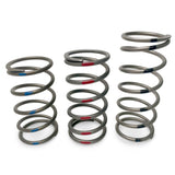 EVO TAPP Primary Clutch Springs