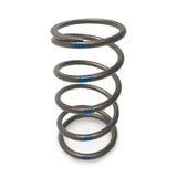 EVO TAPP Primary Clutch Springs
