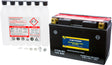 Fire Power Maintenance Free Sealed Battery CT9B-BS