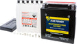 Fire Power Maintenance Free Sealed Battery CTX19L-BS
