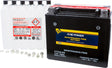 Fire Power Maintenance Free Sealed Battery CTX20-BS