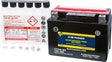 Fire Power Maintenance Free Sealed Battery CTX4L-BS