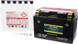 Fire Power Maintenance Free Sealed Battery CTZ12S-BS