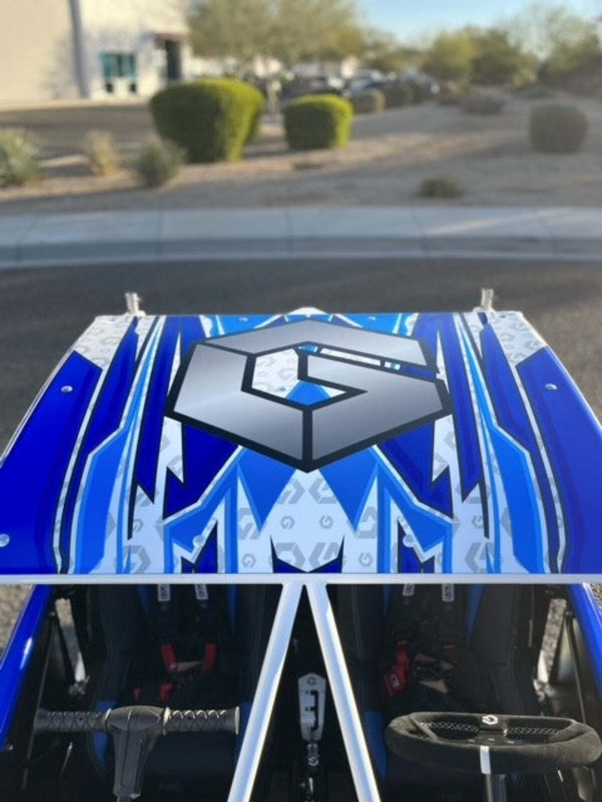 Geiser Performance Polaris RZR 200 Cage
