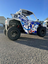 Geiser Performance Polaris RZR 200 Cage