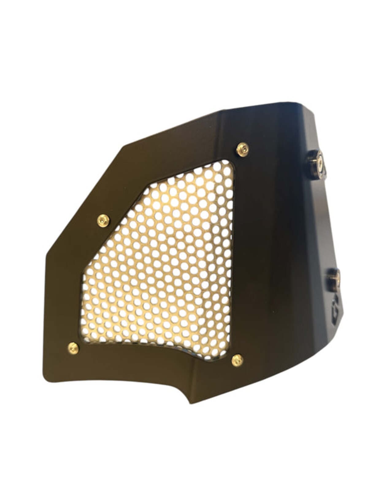Geiser Performance Polaris RZR Pro R Oil Filter Guard