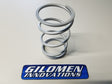 Gilomen Innovations Team Tied Big Tire Mudder Secondary Spring