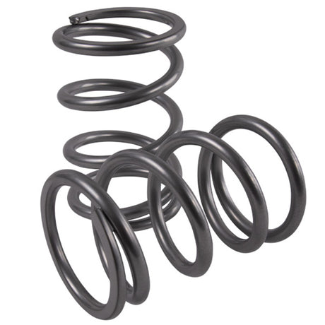 High Lifter Polaris RZR XP 1000 Rear Tender Springs