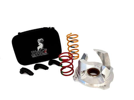 Ibexx Polaris RZR 900 Stage 2 Clutch Kit