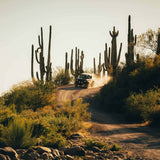 KC HiLiTES 6" Apollo Pro Halogen Light