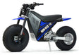 Mini RCR F2 Two Wheeler Electric Bike Blue W/ Blue Fenders