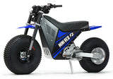 Mini RCR F2 Two Wheeler Electric Bike Blue W/ Blue Fenders