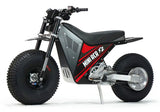 Mini RCR F2 Two Wheeler Electric Bike Red W/ Black Carbon Fenders