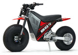 Mini RCR F2 Two Wheeler Electric Bike Red W/ Red Fenders