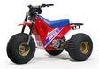 Mini RCR T3 Three Wheeler Electric Bike 250R Special Edition