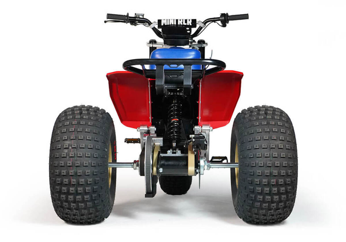 Mini RCR T3 Three Wheeler Electric Bike 250R Special Edition