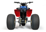 Mini RCR T3 Three Wheeler Electric Bike 250R Special Edition