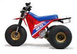 Mini RCR T3 Three Wheeler Electric Bike 250R Special Edition