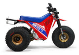 Mini RCR T3 Three Wheeler Electric Bike 250R Special Edition