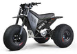 Mini RCR T3 Three Wheeler Electric Bike Black W/ Black Carbon Fenders