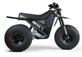 Mini RCR T3 Three Wheeler Electric Bike Black W/ Black Carbon Fenders