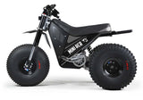 Mini RCR T3 Three Wheeler Electric Bike Black W/ Black Carbon Fenders