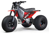 Mini RCR T3 Three Wheeler Electric Bike Red W/ Red Fenders