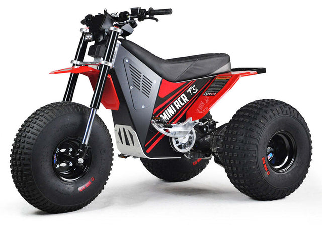 Mini RCR T3 Three Wheeler Electric Bike Red W/ Red Fenders