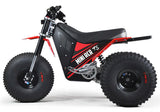 Mini RCR T3 Three Wheeler Electric Bike Red W/ Red Fenders
