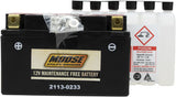 Moose Utility AGM Maintenance Free Battery - YTZ10S