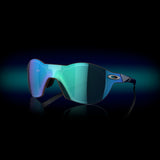 Oakley Re:SubZero