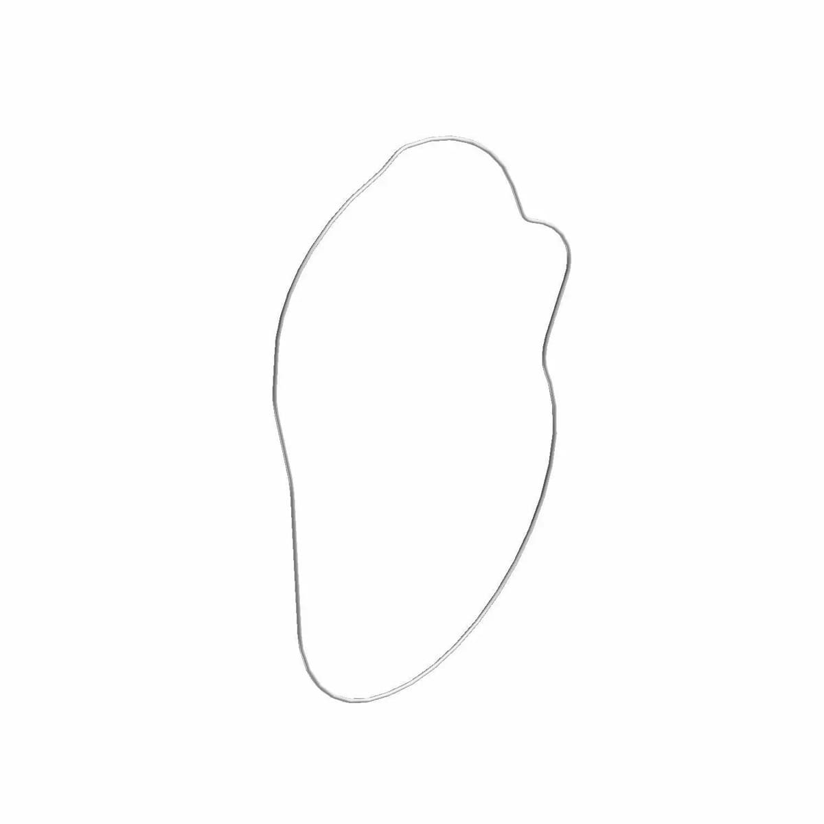 Polaris Clutch Cover Seal Outer