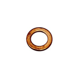 Polaris Copper Washer/Drain Plug Seal - 5812232