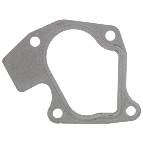 Polaris RZR Pro XP Exhaust Gasket