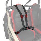 Polaris Sub Zero 4-Point Driver and Passenger Seat Harness - 2 Seat