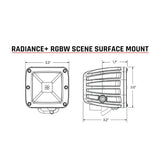 Rigid Radiance+ Scene RGBW Surface Mount Pod Light - Pair