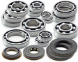 Sandcraft Polaris Transmission Bearing & Seal Combo