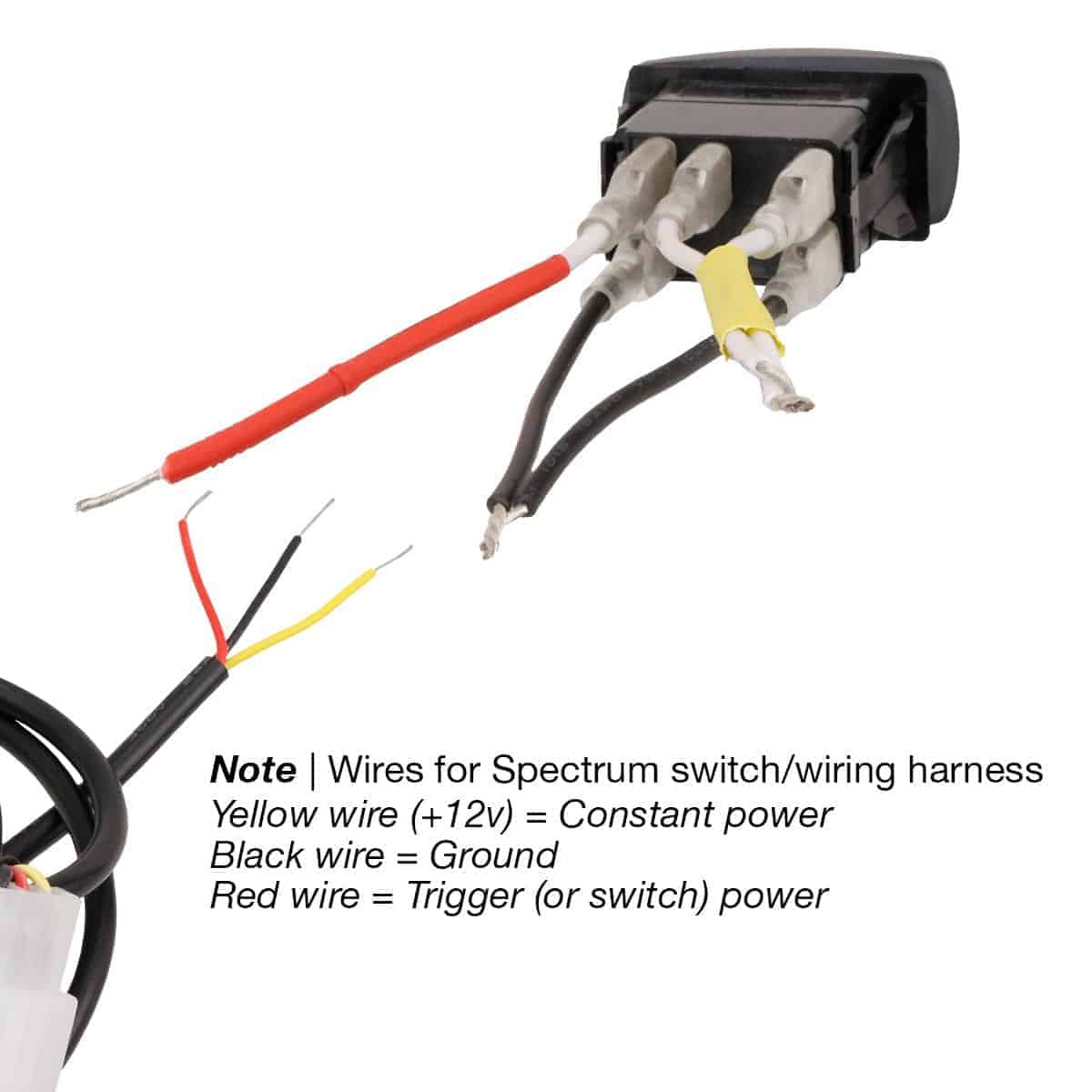 Sector Seven Spectrum Sawtooth Rocker Switch