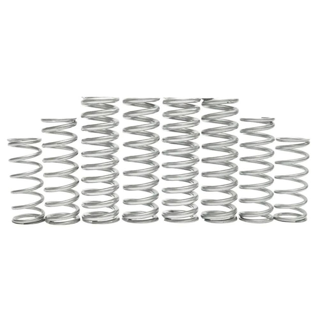 Shock Therapy CFMoto ZForce Z10 Dual Rate Spring Kit