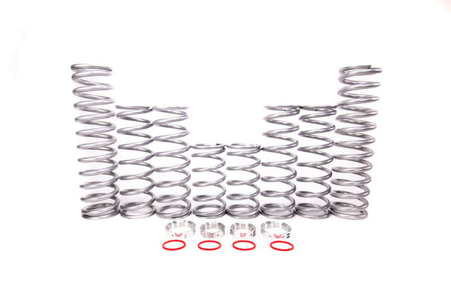 Shock Therapy Polaris General XP 1000 Dual Rate Spring Kit