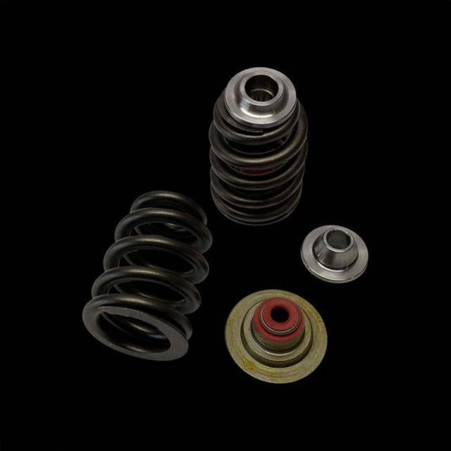 TPR Industry X3 / Rotax 900 Ace Beehive Retainer Kit
