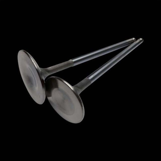 TPR Industry X3 Stainless Steel Intake Valves 29mm (Std)