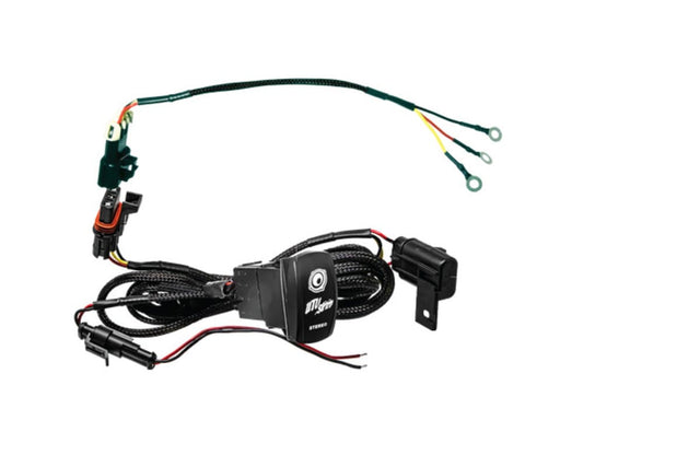 UTV Stereo Source Unit Harness & Rocker Switch