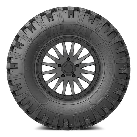 Valor Off-Road Alpha on V06 BG Wheel and Tire Kits