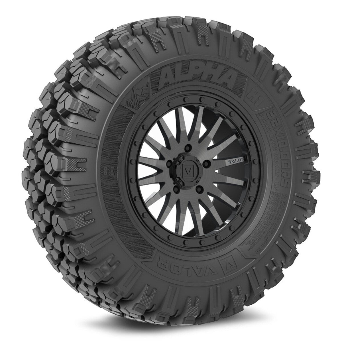 Valor Off-Road Alpha on V06 BG Wheel and Tire Kits