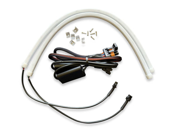 wd-electronics-kawasaki-ridge-