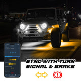 XK Glow XKmax RGBW LED Color Chasing Rock Light Kit